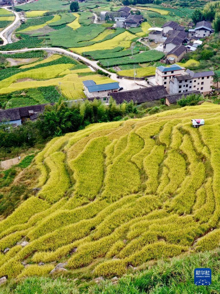 皇冠手机怎么注册